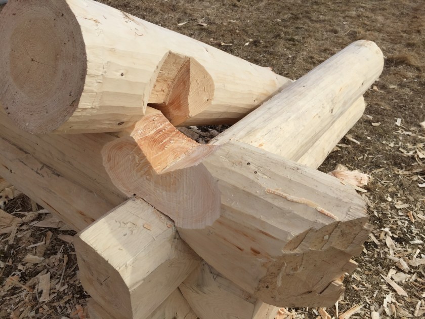 ￼Figur 13. Nå er noven på over- og understokken hugget klar for meddraging. Foto: Henrik Jenssen