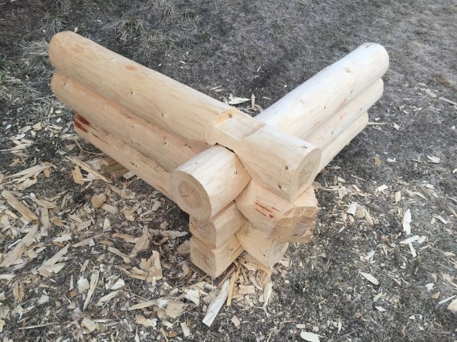 ￼Figur 16. Stokkene ligger ferdig nedpå hverandre, men alle er ikke enda ferdig pyntet i endene. Foto: He