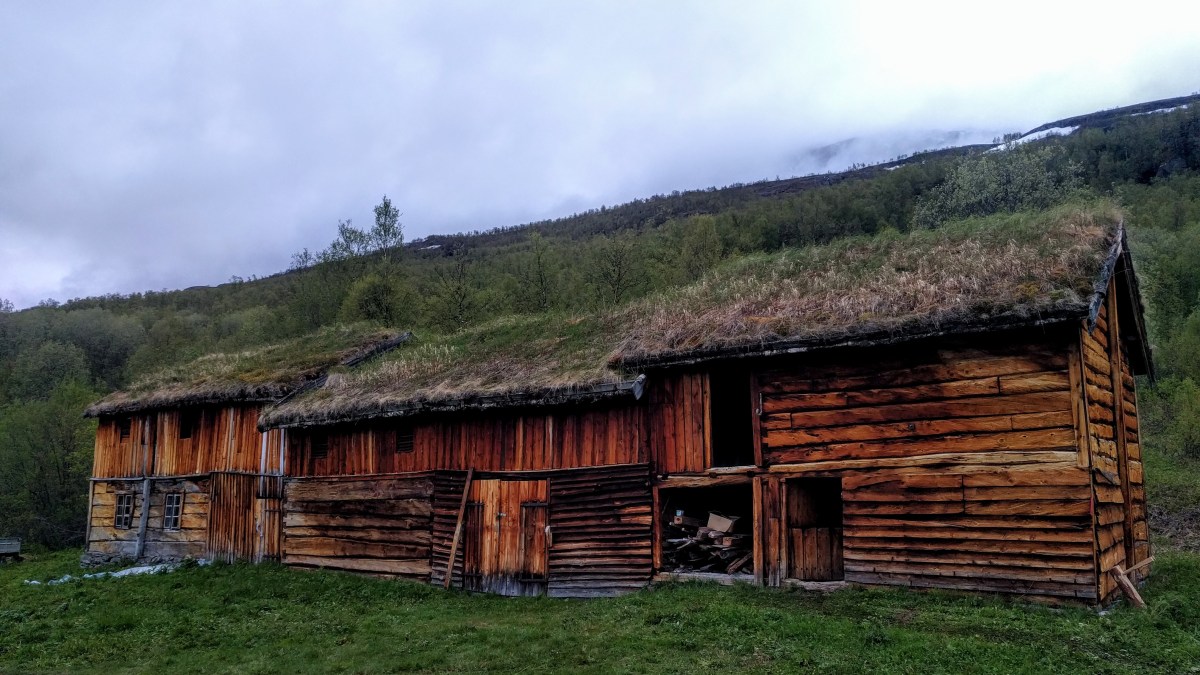 Takkonstruksjonen i Fjøset på Strømsør&nbsp;fjellgård.