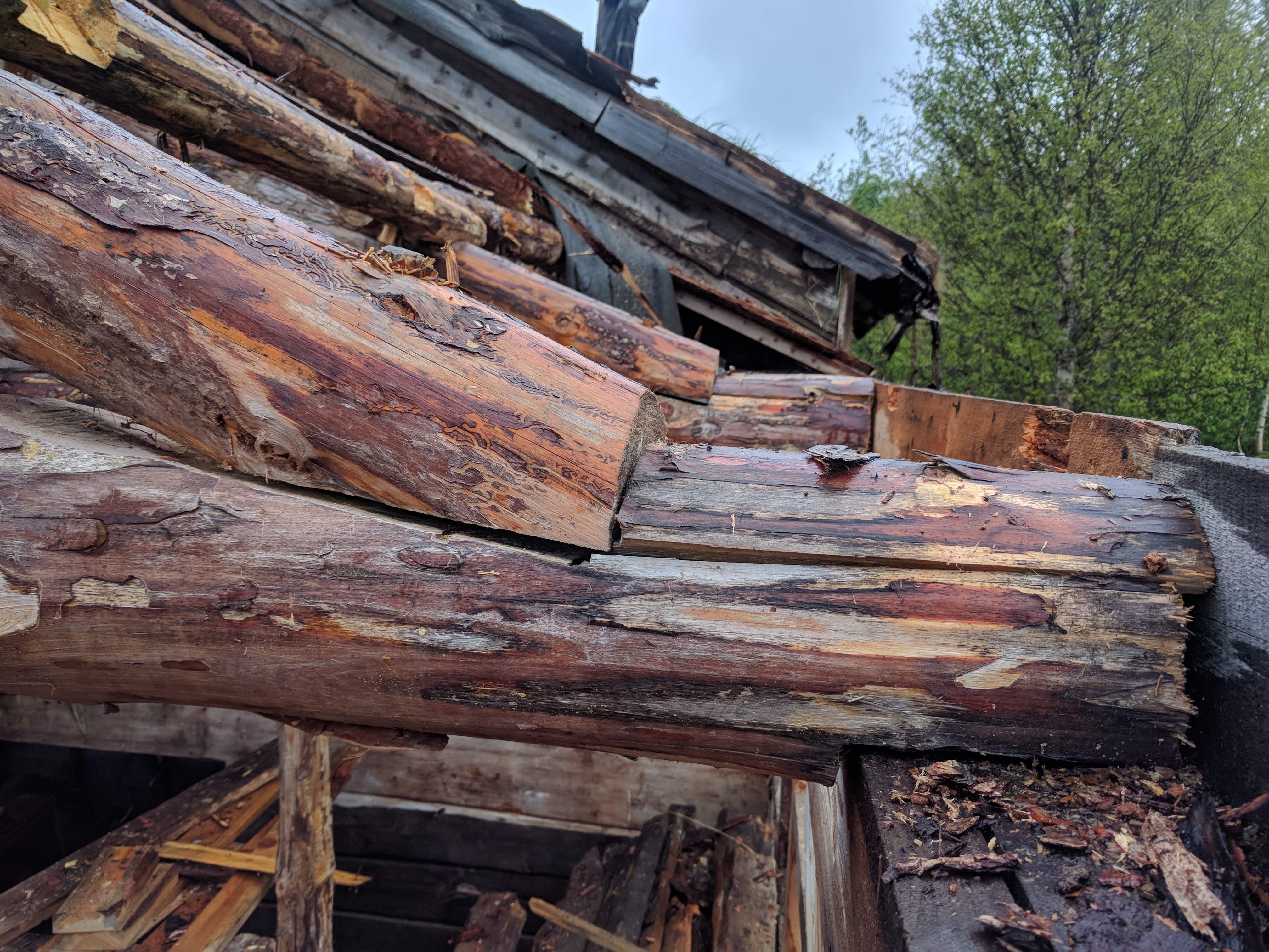 2018-06-11 20.27.18.jpg