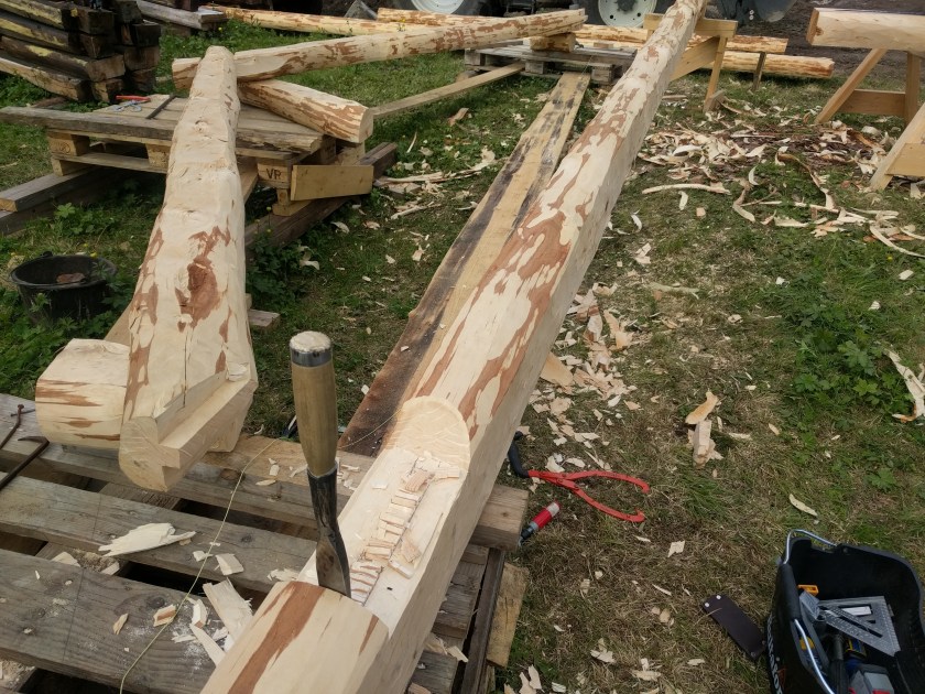 2018-06-17 17.44.07.jpg