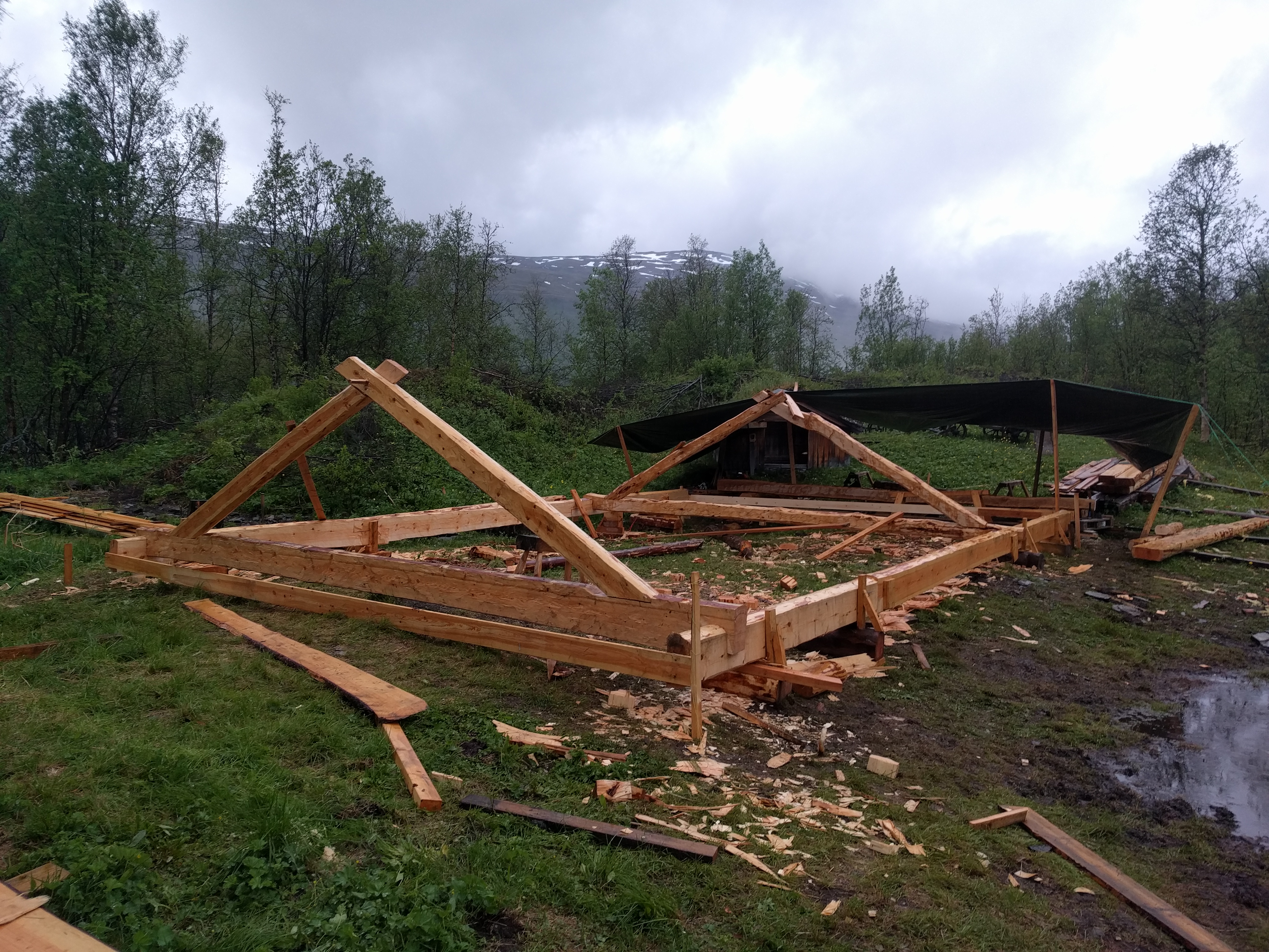 2018-06-20 22.39.16.jpg