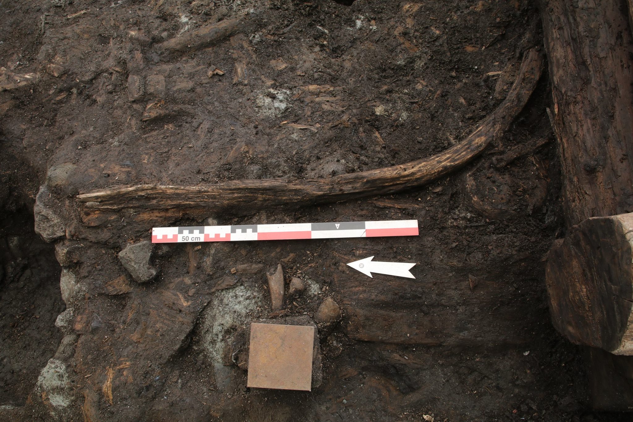 56560705_2114225981965030_7042492673076232192_o