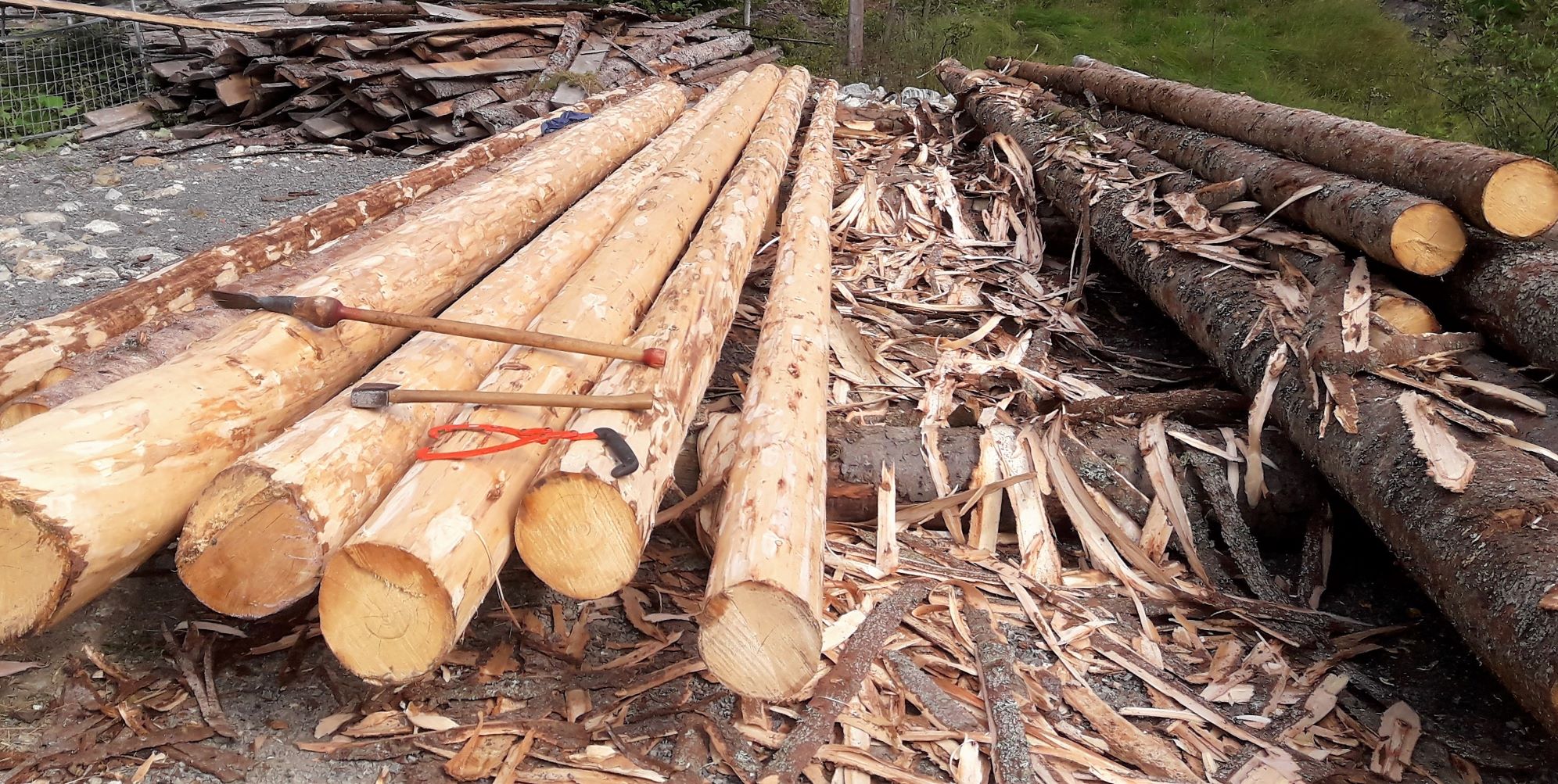 Bilde 7. Barking og opplegging.